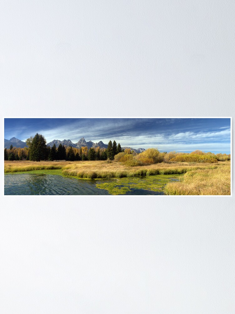 Alternate view of Golden Marsh Grasses, Teton Panorama Poster