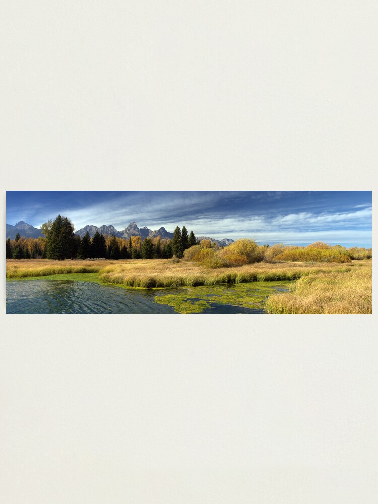 Alternate view of Golden Marsh Grasses, Teton Panorama Photographic Print