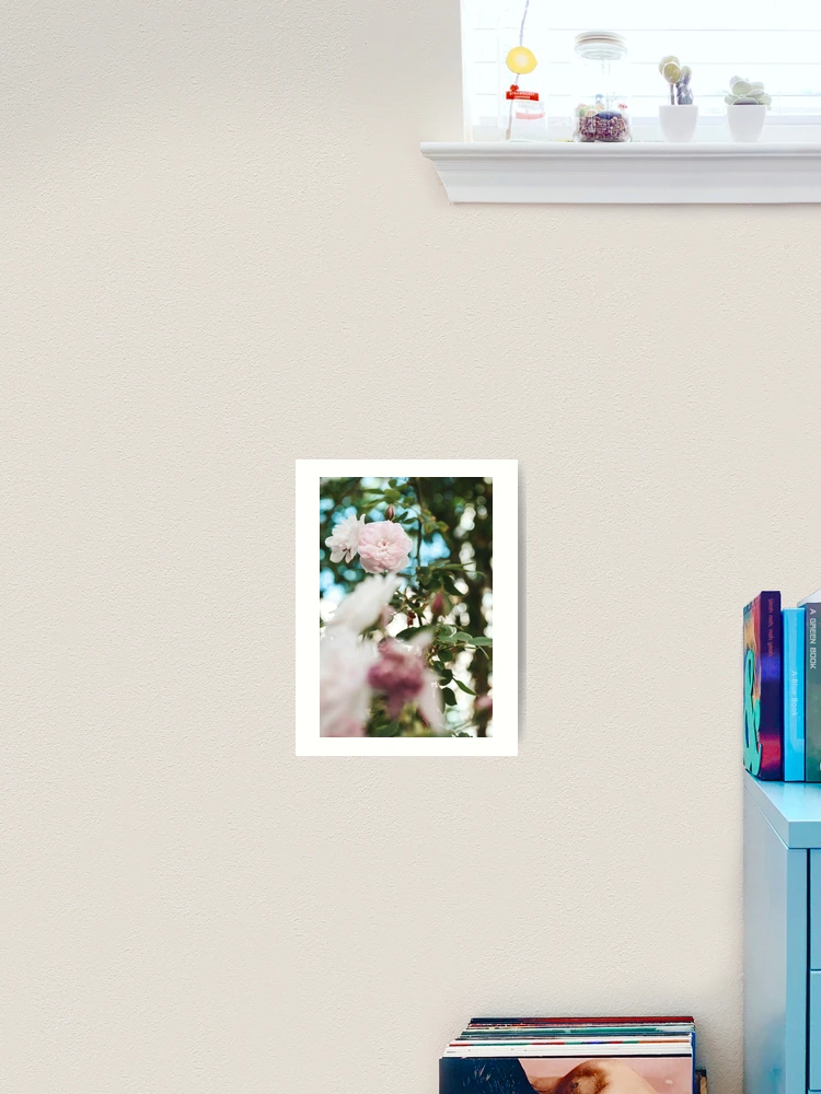 Thumbnail 2 of 3, Art Print, Spring Roses designed and sold by Spring-Flower-.