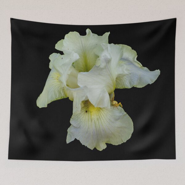 Item preview, Iris in White on Black designed and sold by Bryan Spellman.