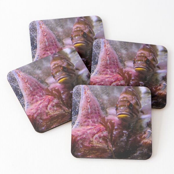 Item preview, aquarium fish designed and sold by Perggals© - Stacey Turner.