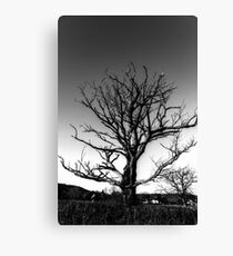 Naked Canvas Print