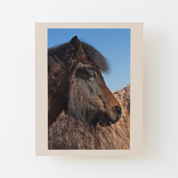 Horse's head and all that texture in black and white Wood Mounted Print