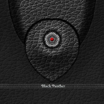 Artwork thumbnail, Black Panther (2) by VkCases