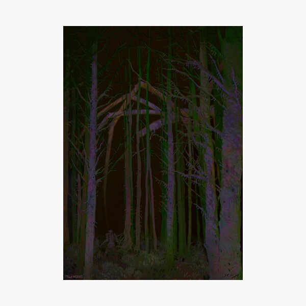 An Encounter Photographic Print