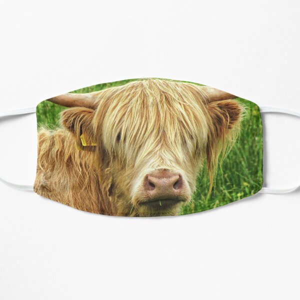 highland cow face mask