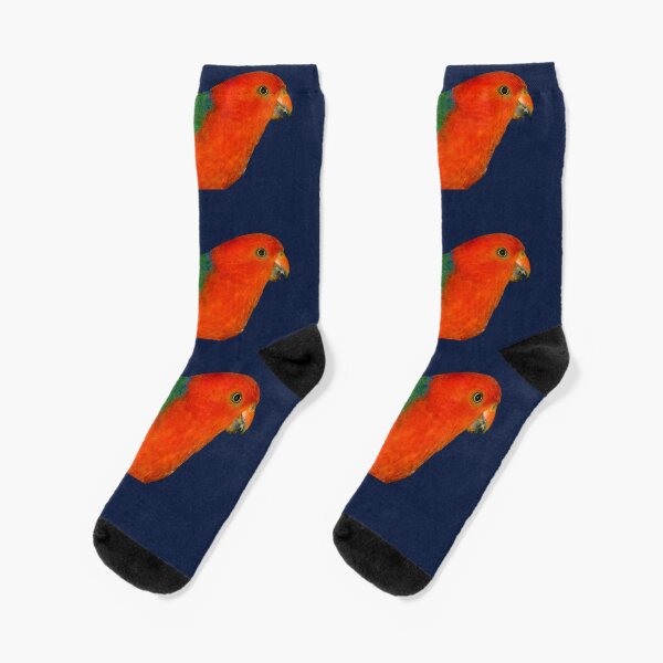 Australian King-Parrot male Socks