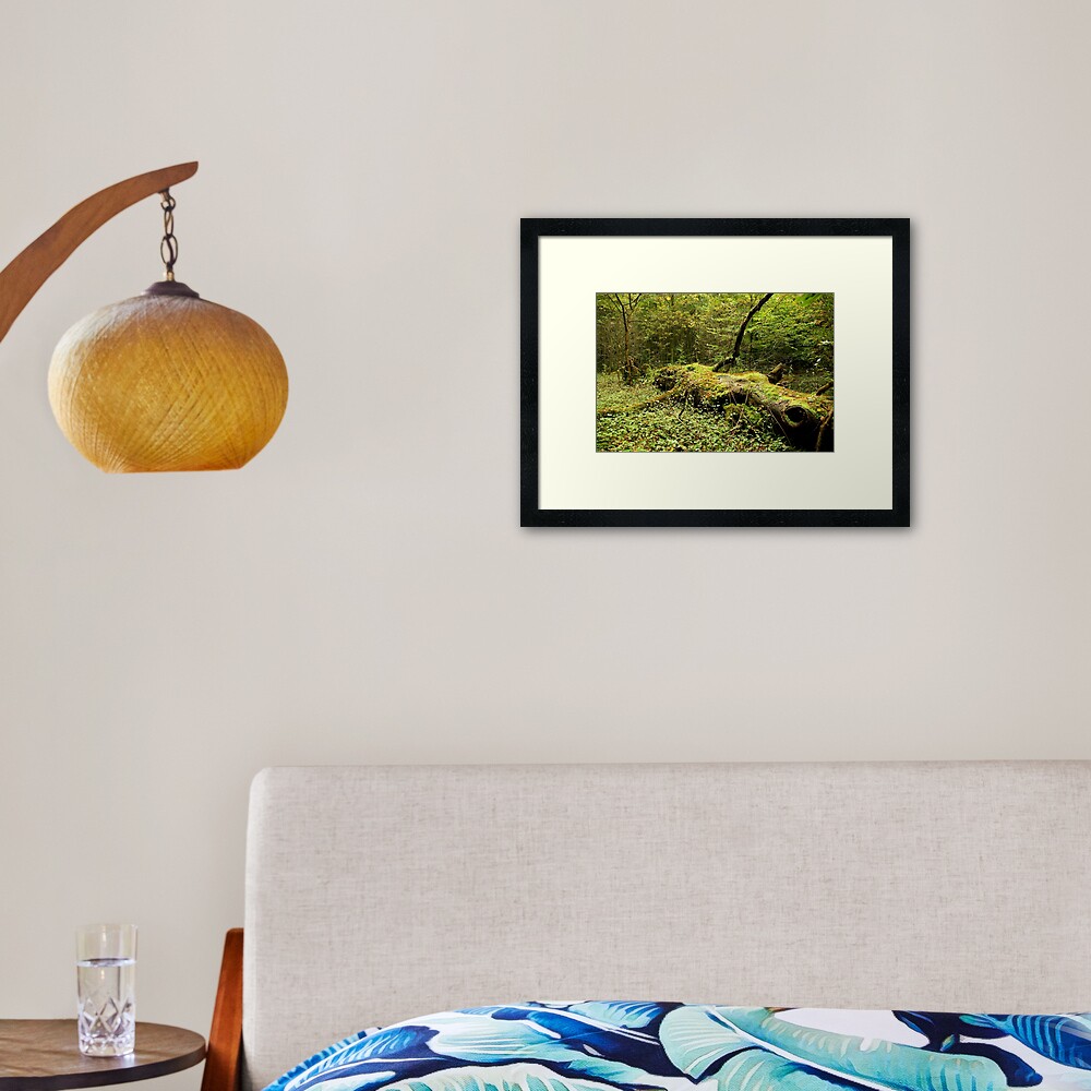 Item preview, Framed Art Print designed and sold by steppeland.