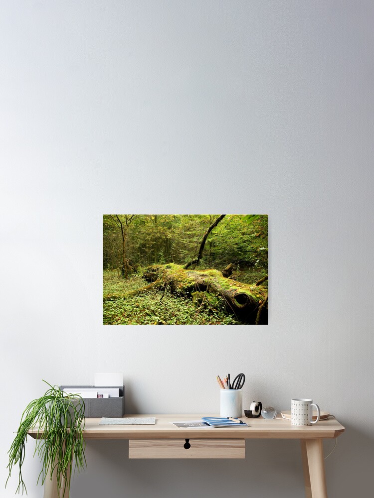 Thumbnail 2 of 3, Poster, A giant felled... designed and sold by steppeland.