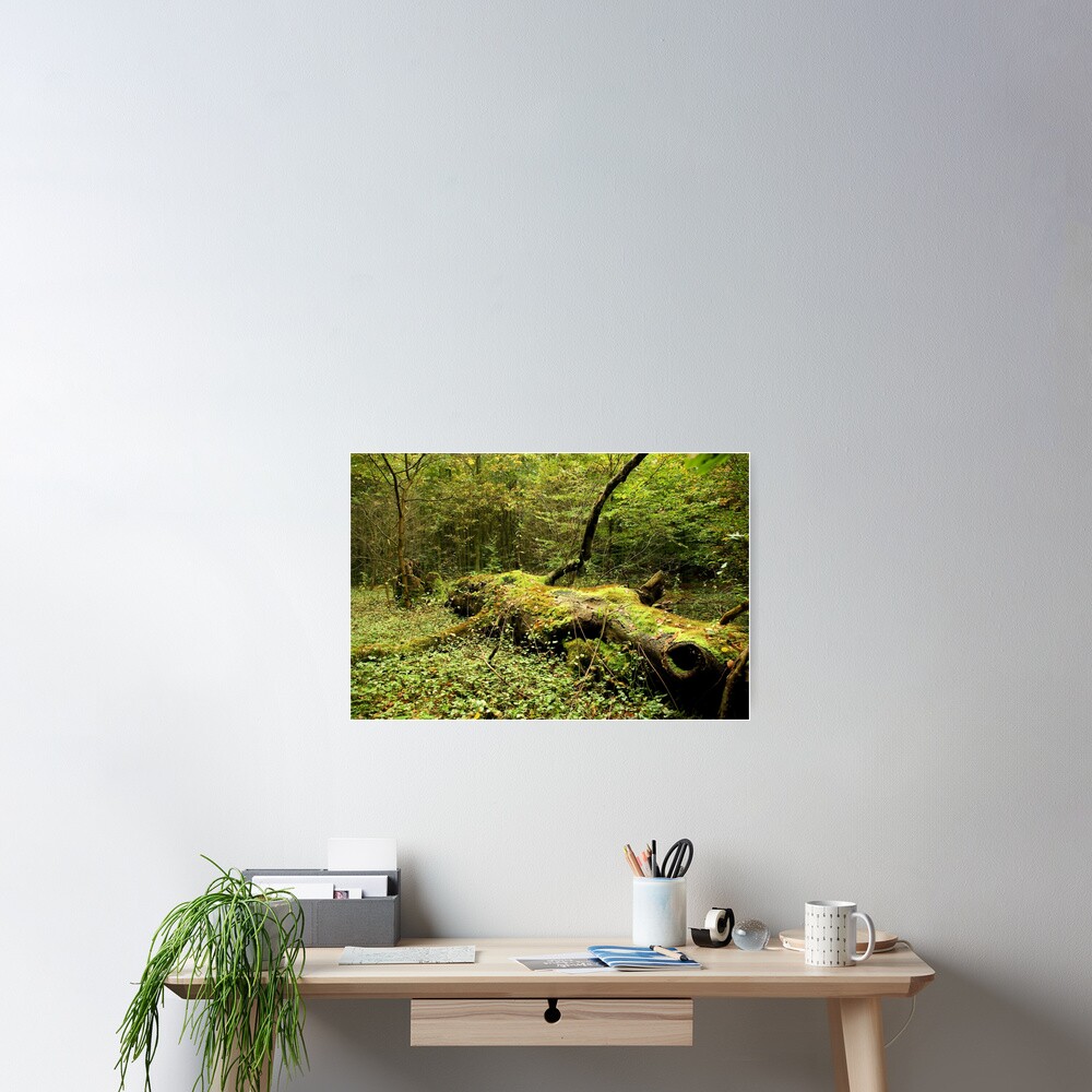 Item preview, Poster designed and sold by steppeland.