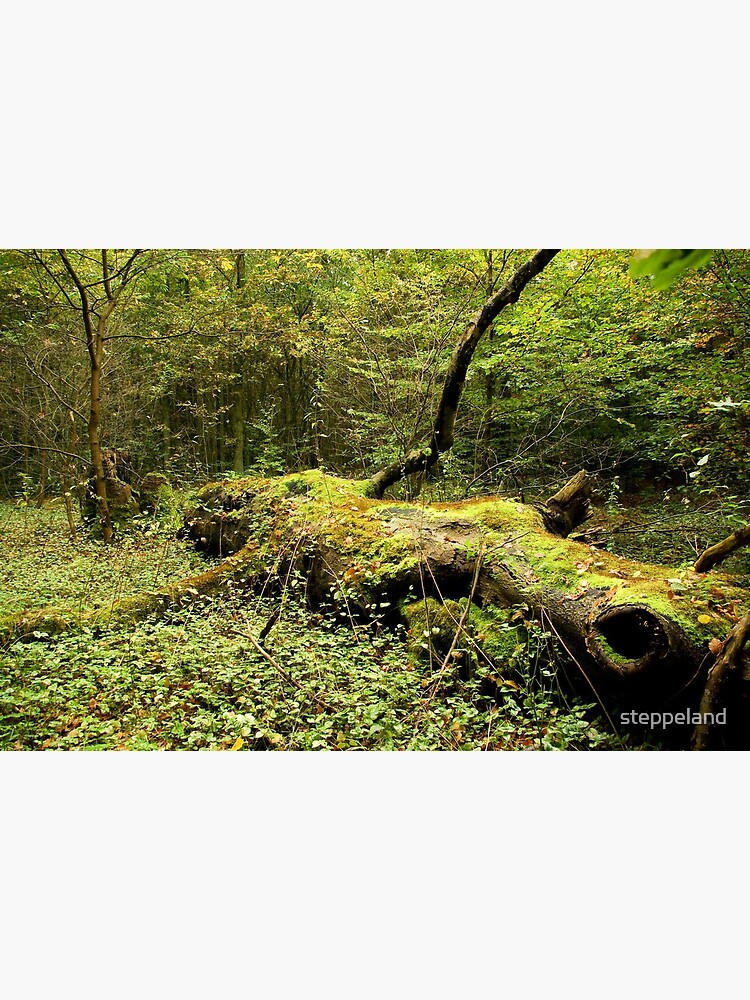 Thumbnail 3 of 3, Poster, A giant felled... designed and sold by steppeland.