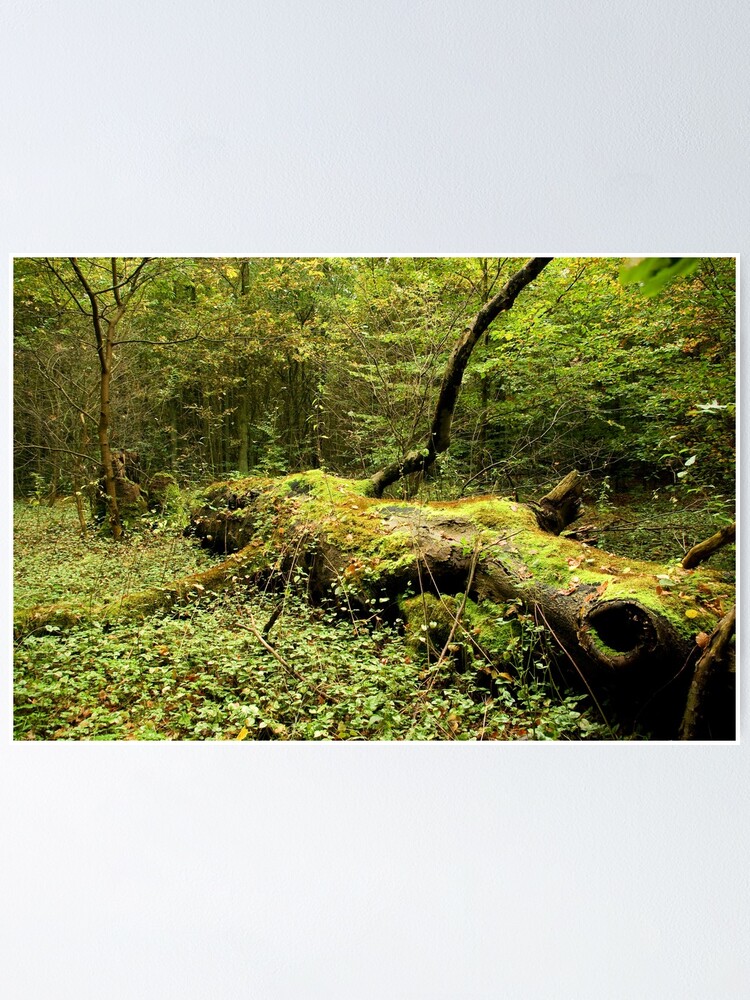Thumbnail 1 of 3, Poster, A giant felled... designed and sold by steppeland.