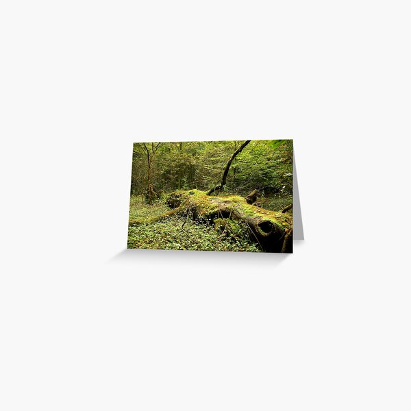 A giant felled... Greeting Card