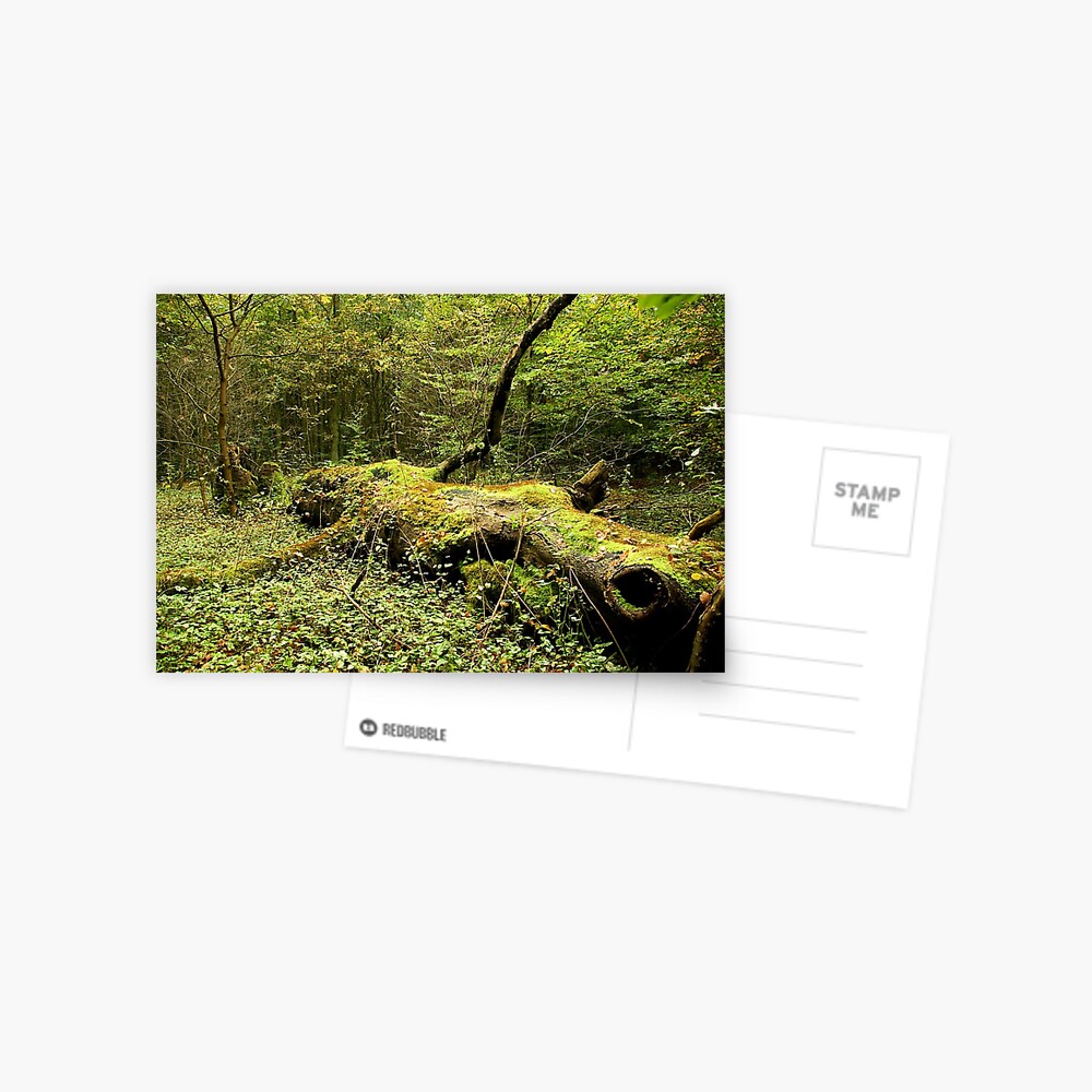 Item preview, Postcard designed and sold by steppeland.