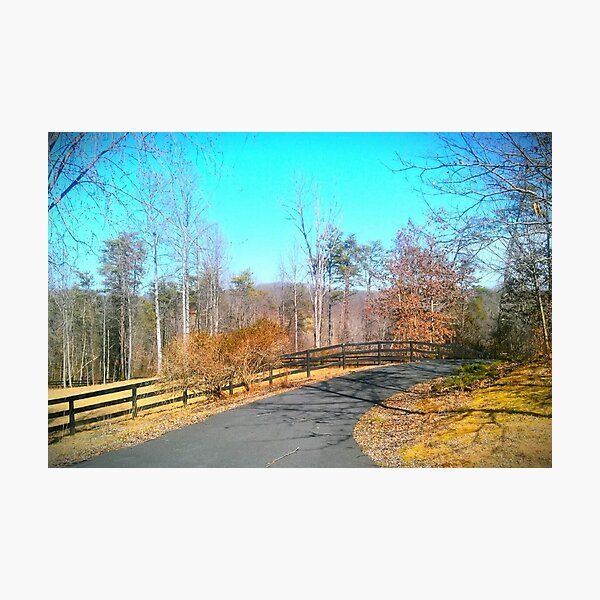 Scenic View Photographic Print