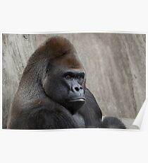 You Talking to Me Poster