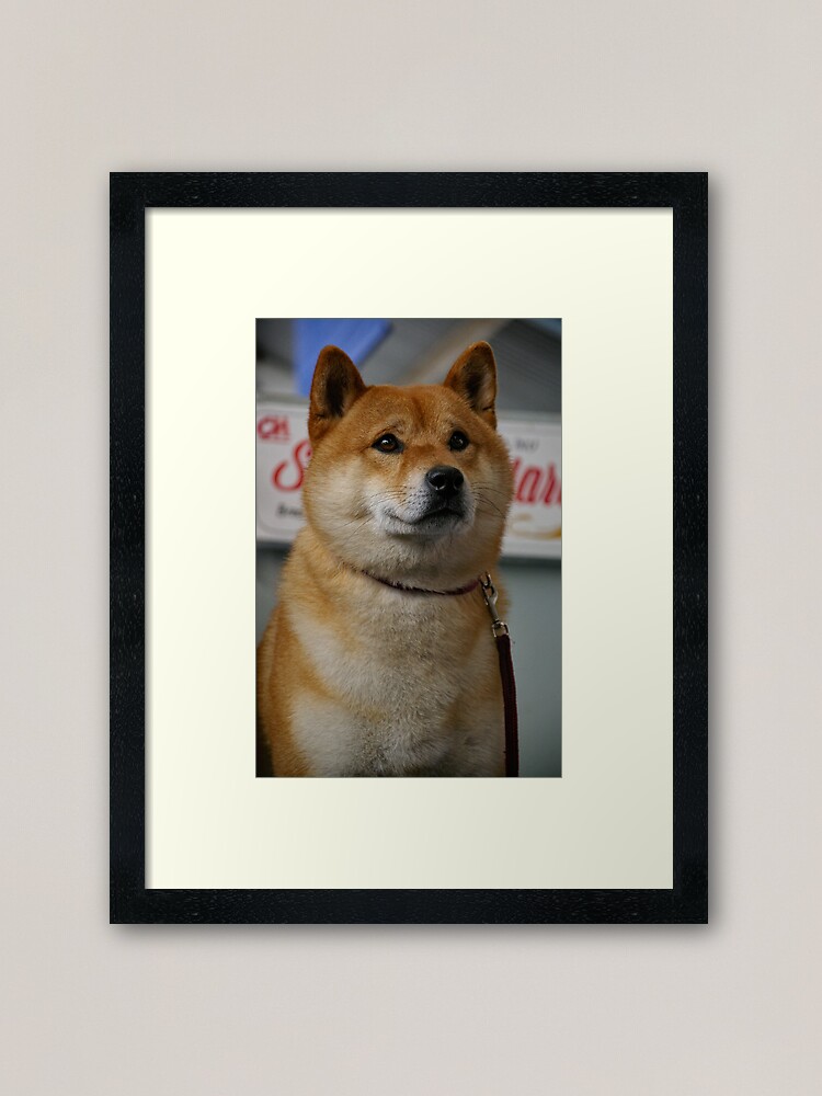 Alternate view of Dog (show) your pride Framed Art Print