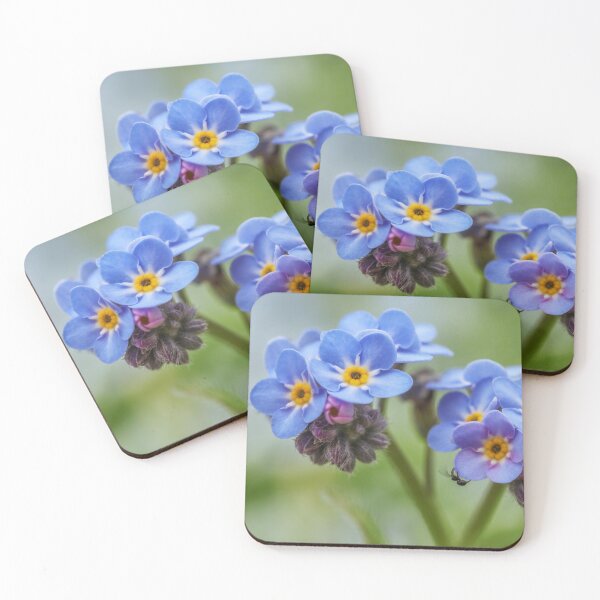 Item preview,  Myosotis. designed and sold by John Ray.