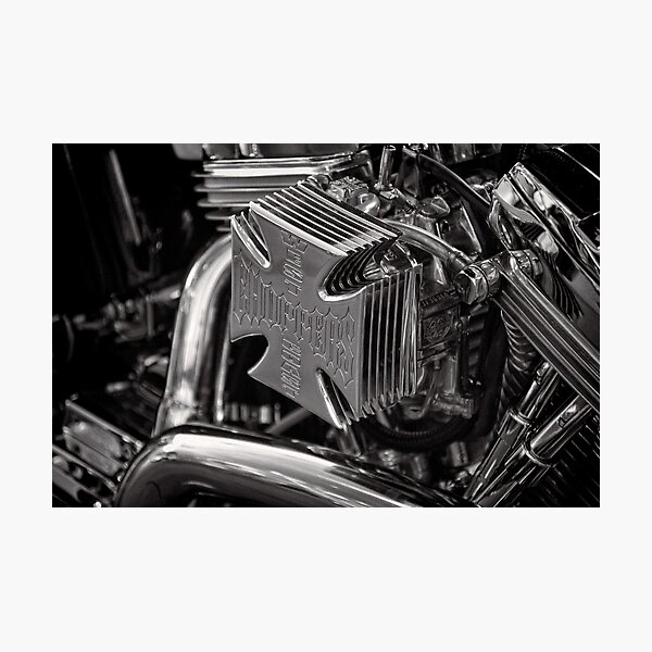 West Coast Maltese Air Photographic Print
