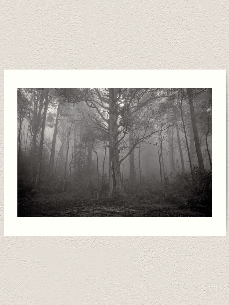 Alternate view of Gather in the mist - Marysville Art Print