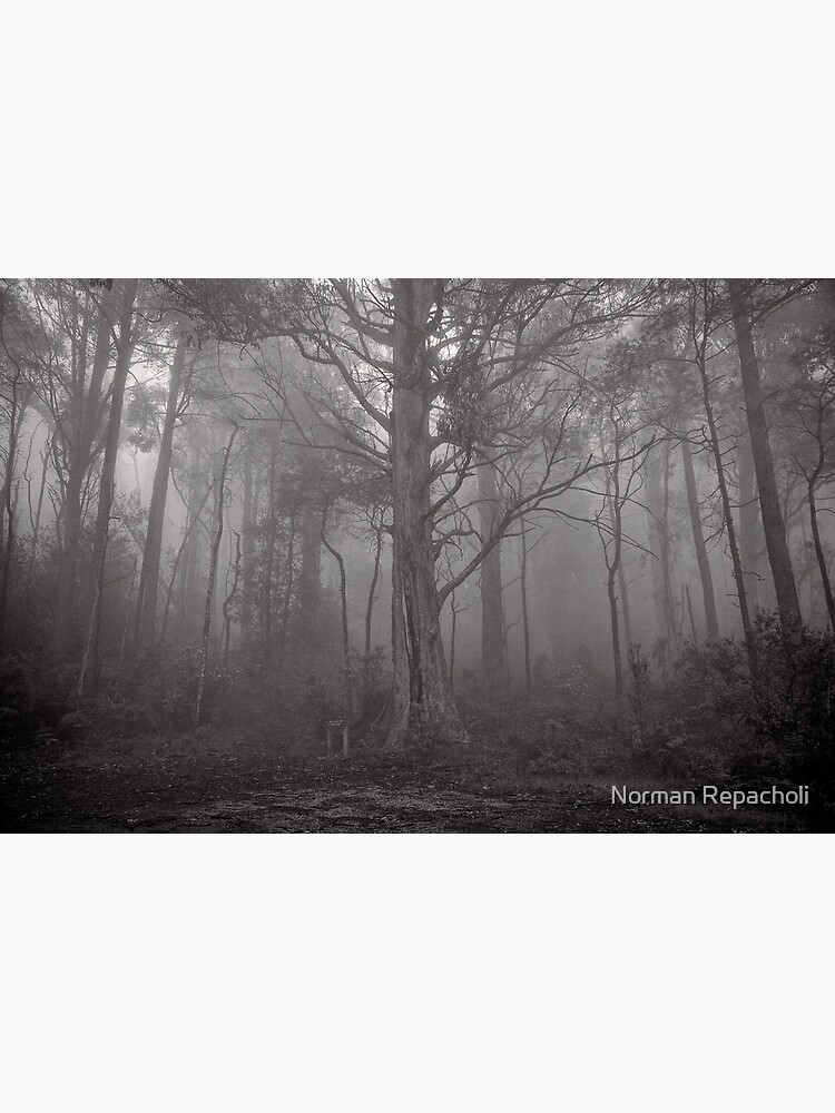 Gather in the mist - Marysville by keystone