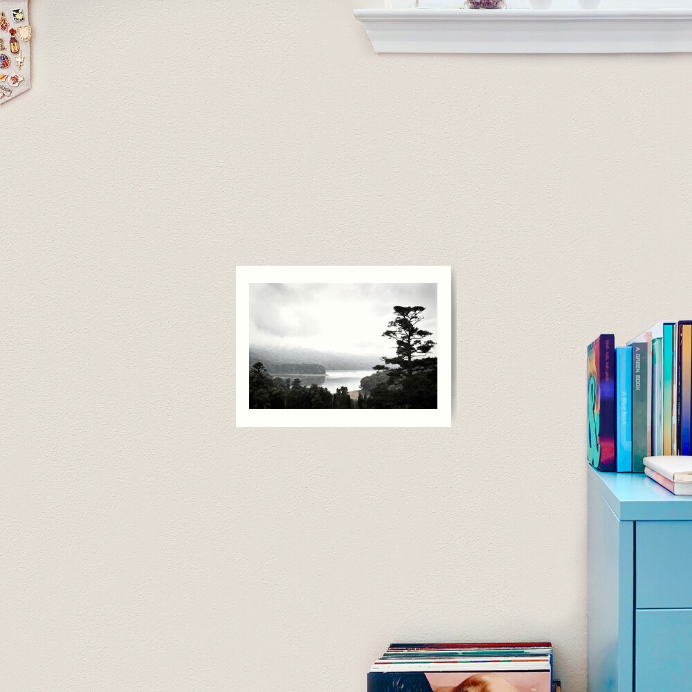 Selover's Mist Revisited Art Print