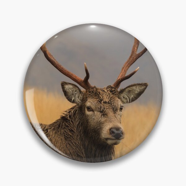 Item preview, Stag in Glen Etive designed and sold by bitm2007.