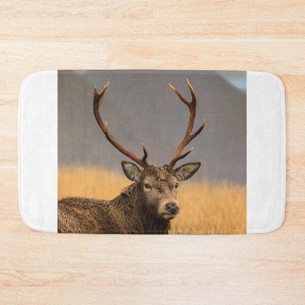 Item preview, Stag in Glen Etive designed and sold by bitm2007.