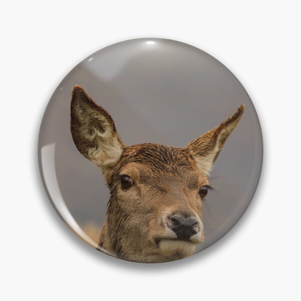 Item preview, Hind Deer at Glen Etive designed and sold by bitm2007.