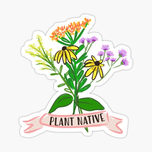 DF0102 Flora Color Step Stickers