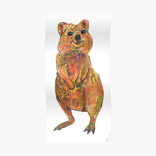 Quokka on Blank Background Poster