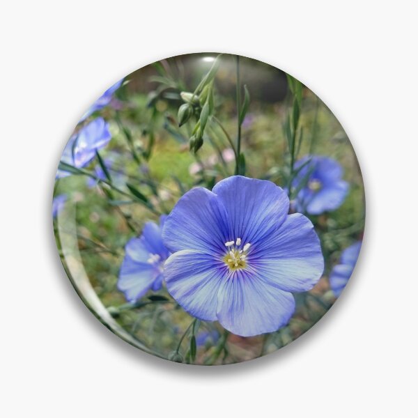 Item preview, Flax flower designed and sold by Gourmetkater.