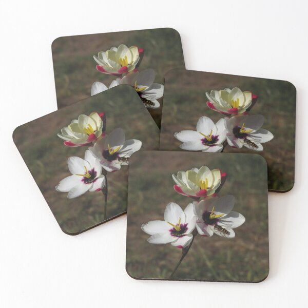 Item preview, African Corn Lily and Hoverfly designed and sold by wiggyofipswich.