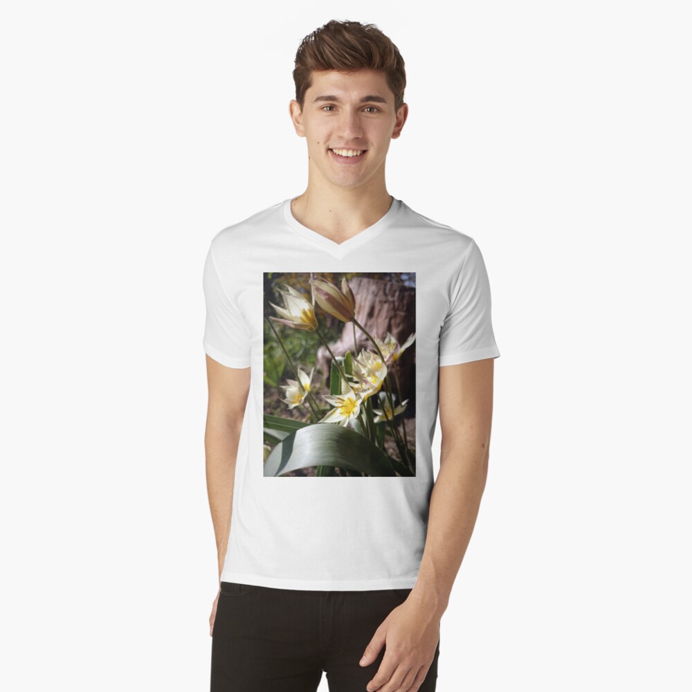 Artikel-Vorschau von T-Shirt mit V-Ausschnitt, designt und verkauft von Gourmetkater.