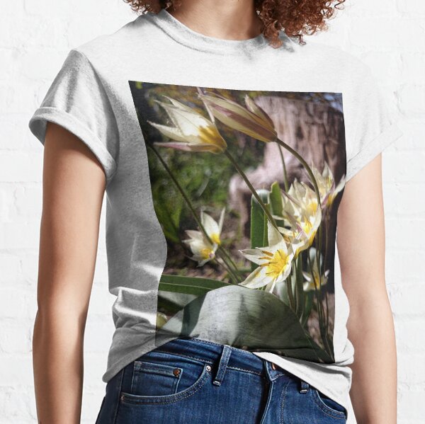 Ein kleiner Stern.... Classic T-Shirt