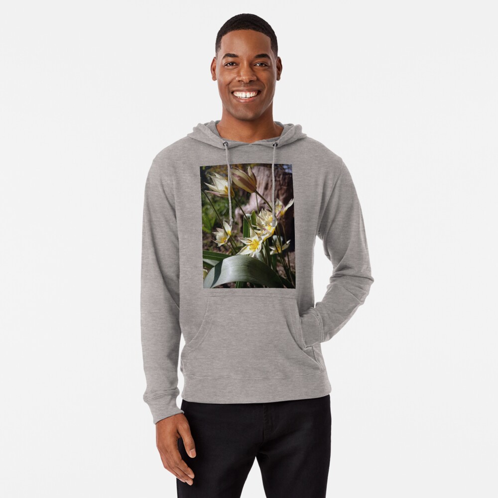 Artikel-Vorschau von Leichter Hoodie, designt und verkauft von Gourmetkater.