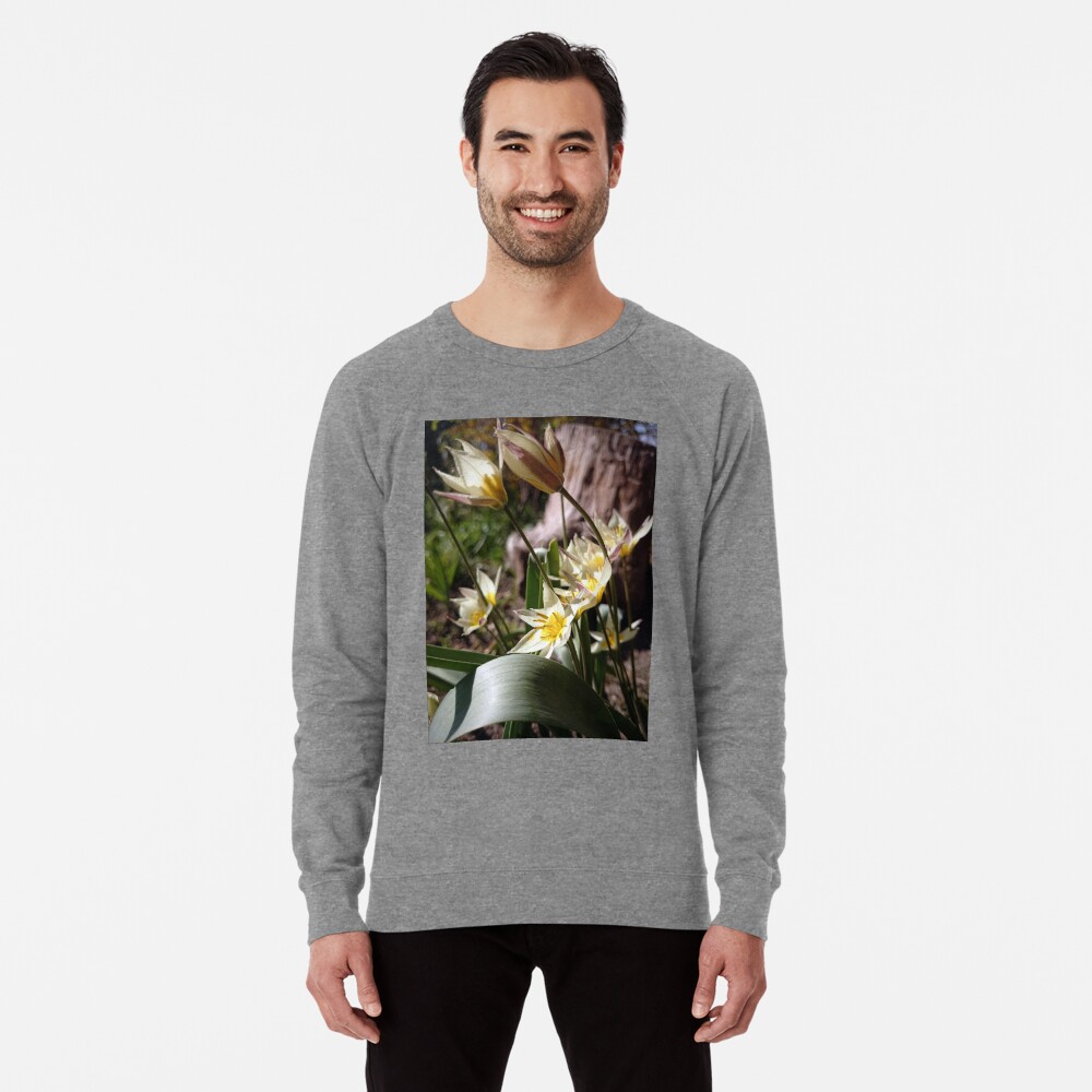 Artikel-Vorschau von Leichter Pullover, designt und verkauft von Gourmetkater.