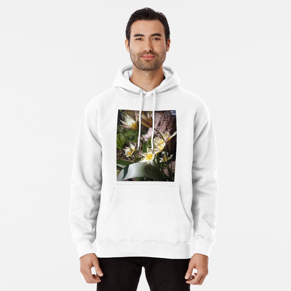Artikel-Vorschau von Hoodie, designt und verkauft von Gourmetkater.