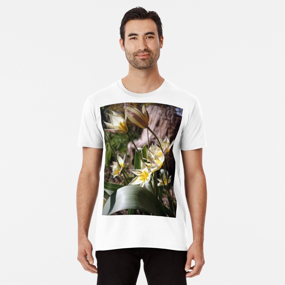 Artikel-Vorschau von Premium T-Shirt, designt und verkauft von Gourmetkater.