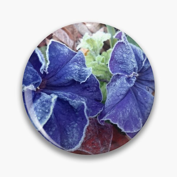 Item preview, Petunia in hoarfrost designed and sold by Gourmetkater.
