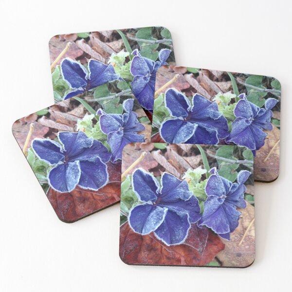 Item preview, Petunia in hoarfrost designed and sold by Gourmetkater.
