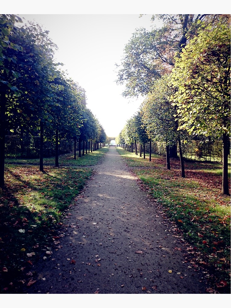 Allee im Park von Gourmetkater
