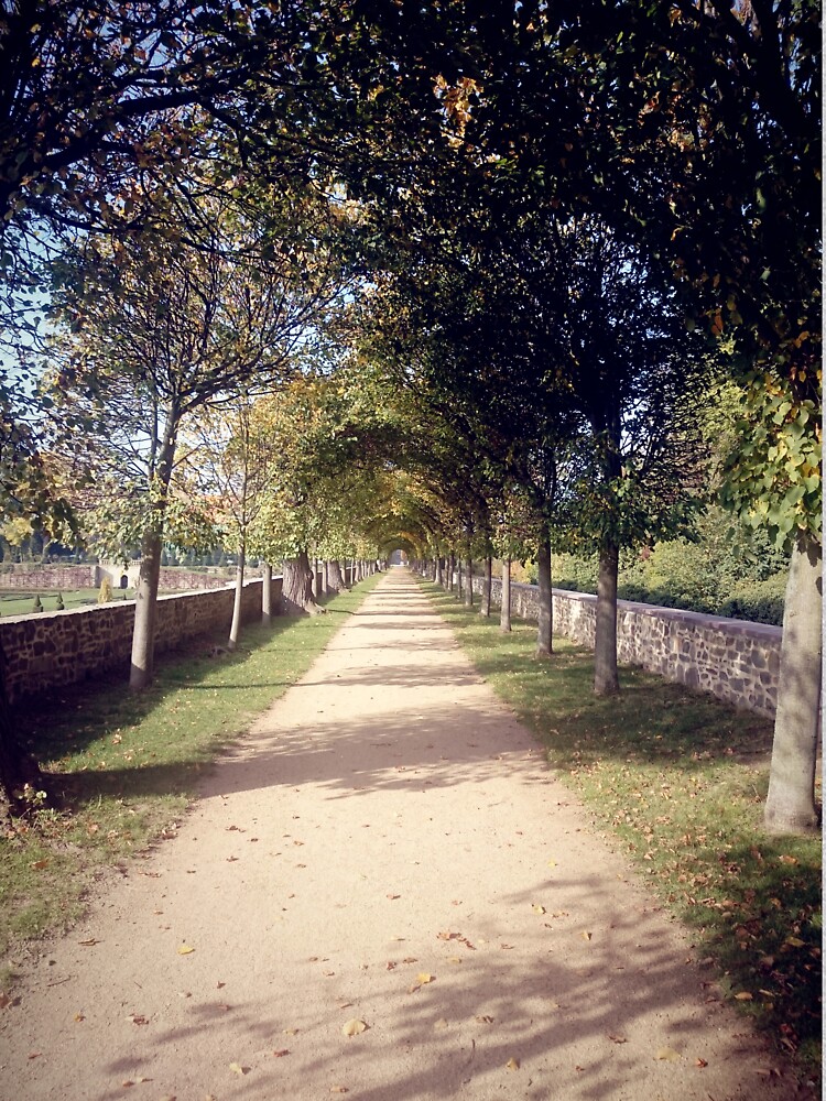 Park-Allee von Gourmetkater