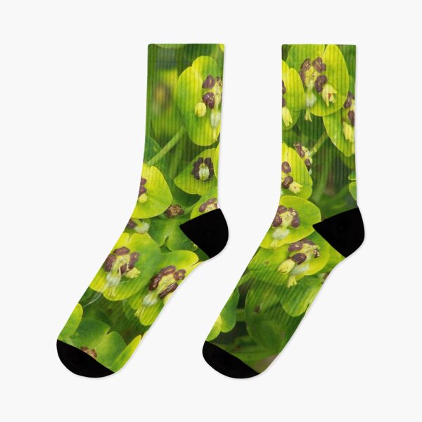 Item preview, Green flowers designed and sold by Boscastle.