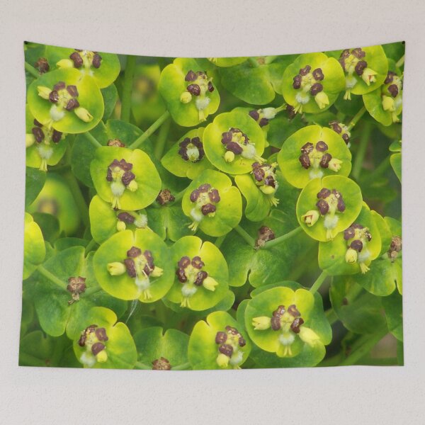 Item preview, Green flowers designed and sold by Boscastle.