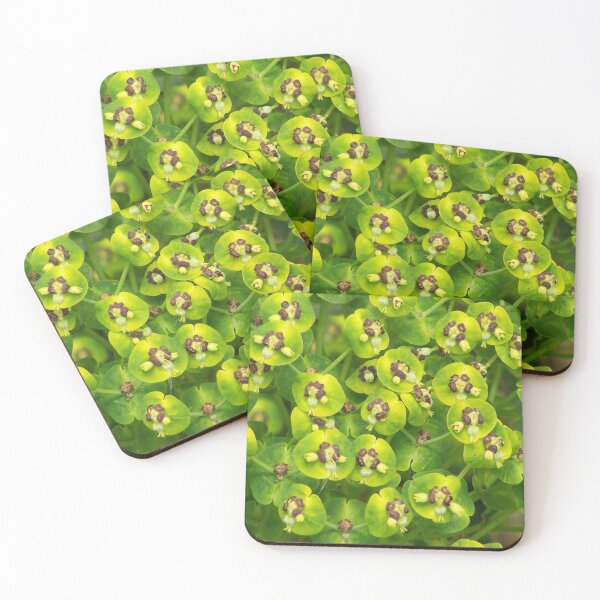 Item preview, Green flowers designed and sold by Boscastle.