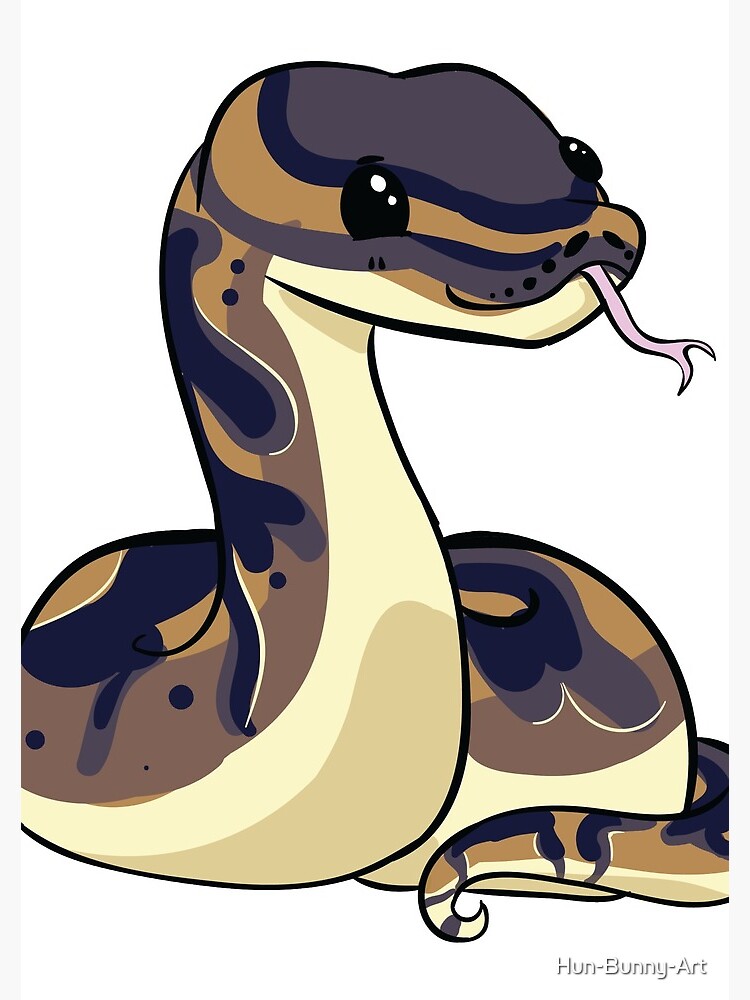 Ball Python