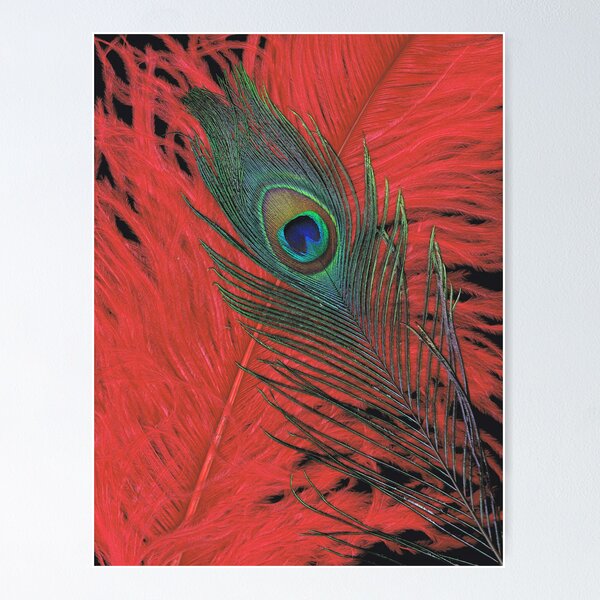 Item preview, Red Hot Peacock designed and sold by Jessica Manelis.