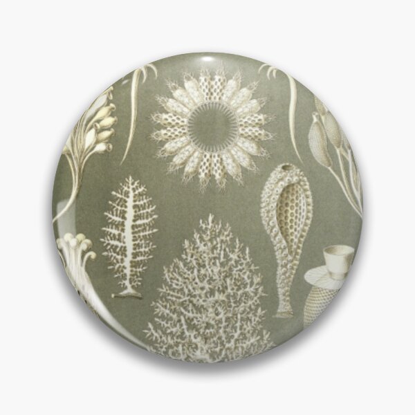 Item preview, Naturalist Sponges designed and sold by BlueSpecsStudio.