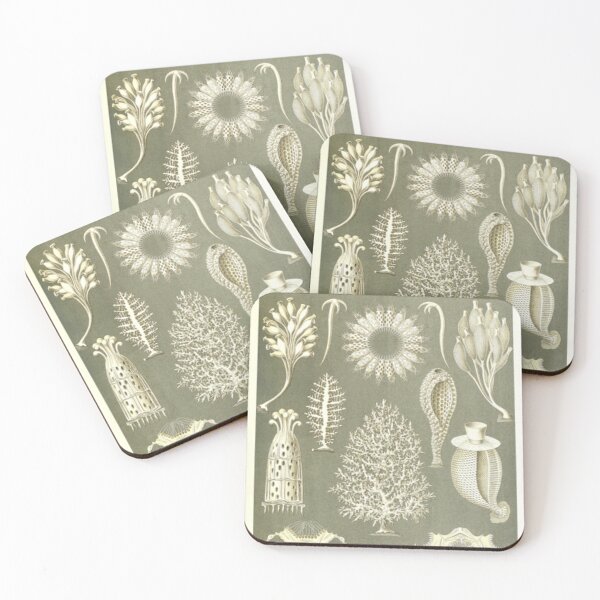 Item preview, Naturalist Sponges designed and sold by BlueSpecsStudio.